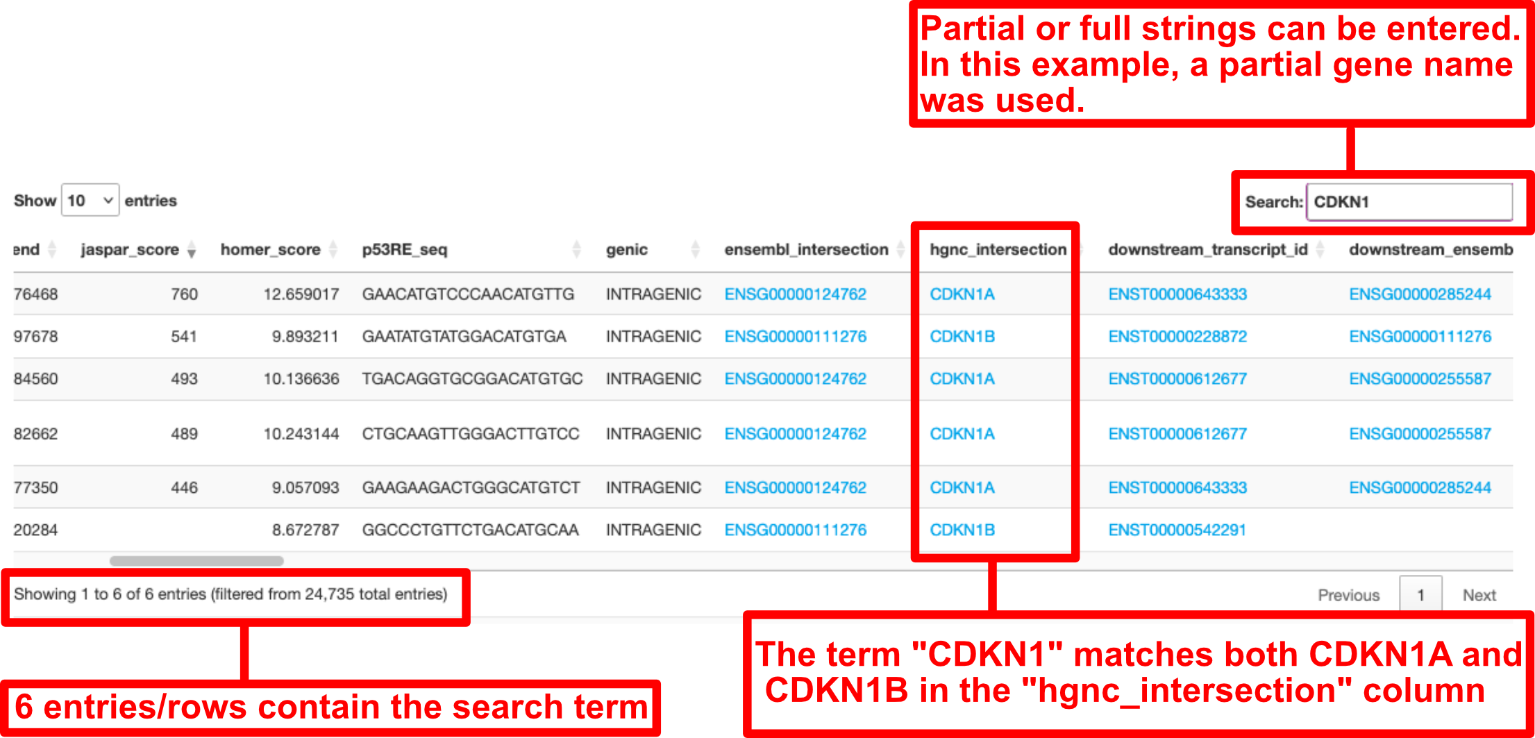 Using the Search box in the Main Data Table