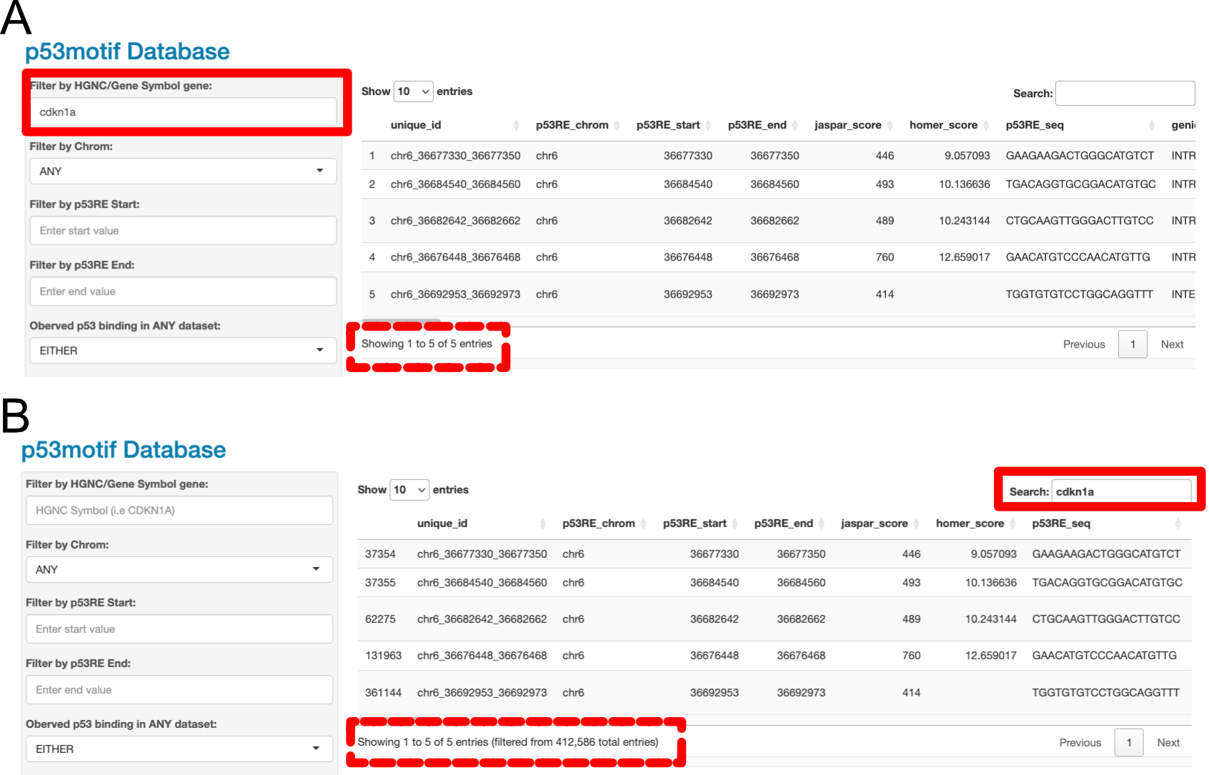Data Filters versus the Search Box