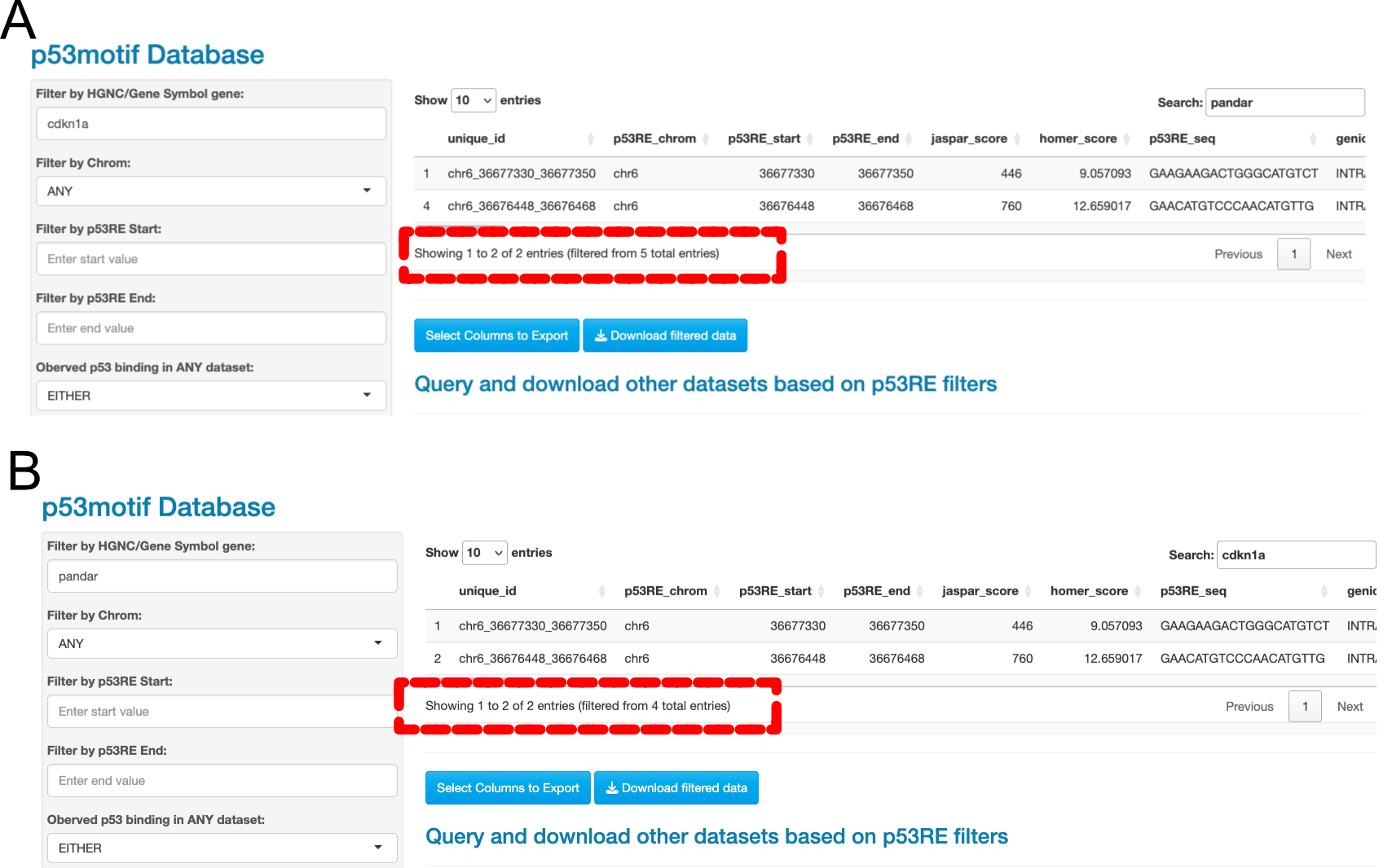 Data Filters versus the Search Box, Example 2